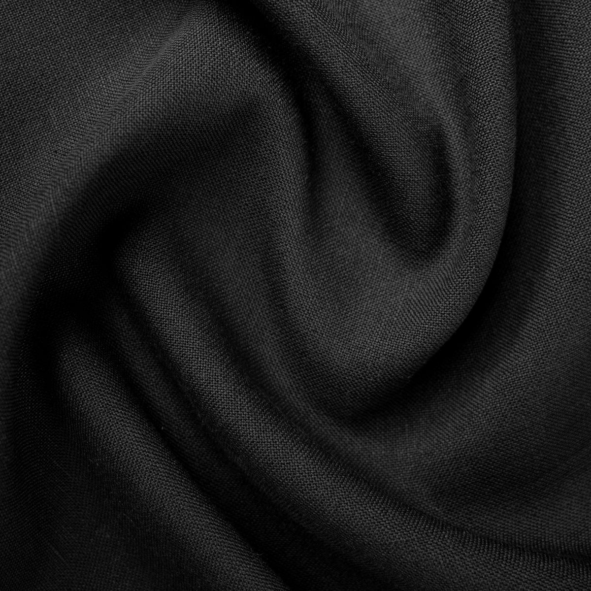 Black Raven